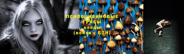ALPHA PVP Алексин